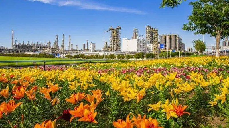 化工产品代理如何选品：揭秘行业选品逻辑